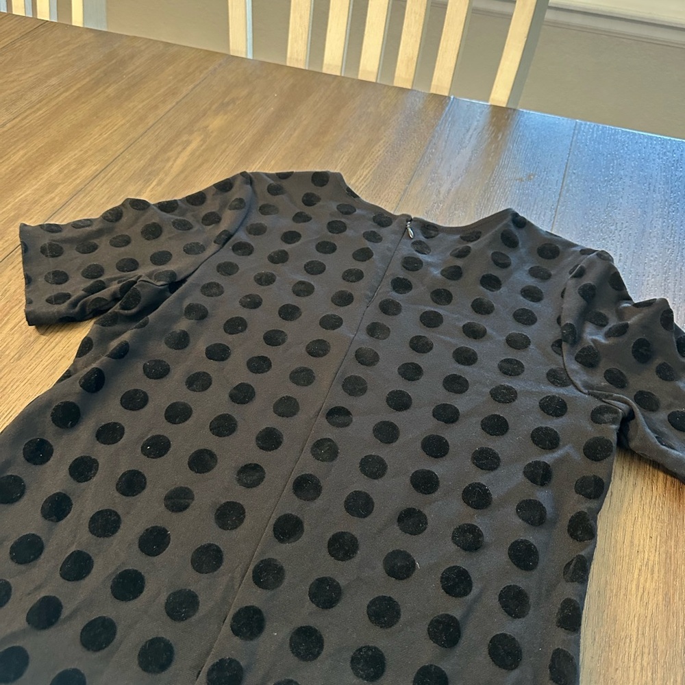 Black Polka Dot Mini Dress - Picture 5 of 5